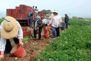 Χαράτσι στις εισφορές από 8% έως 38%