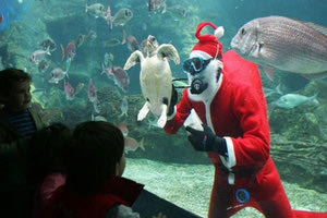 Ενυδρείο Κρήτης