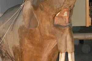 Το Δεινοθήριο το Γιγάντιο επιστρέφει στο Talos Plaza