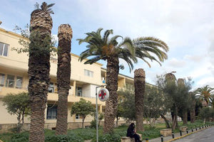 Βενιζέλειο νοσοκομείο