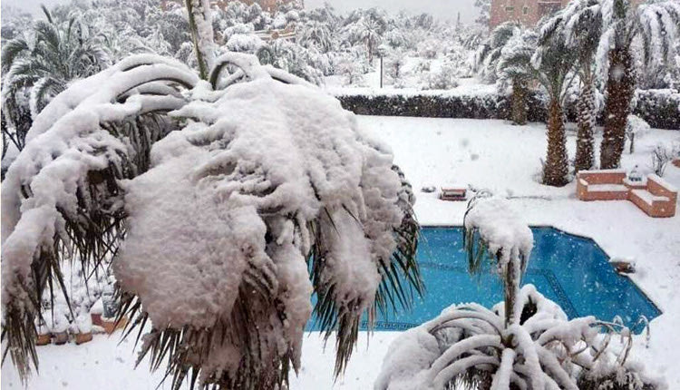 Οι αμμόλοφοι και οι φοίνικες στην έρημο του νότιου Μαρόκου ντύθηκαν στα… λευκά,