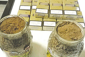 το εργαστήριο που έκανε την κάνναβη... σοκολάτα