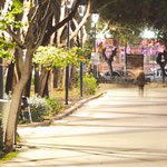 Δείτε όλα τα άρθρα από το χρήστη Νίκος Ε. Ηγουμενίδης