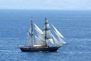 μετέφεραν μετανάστες