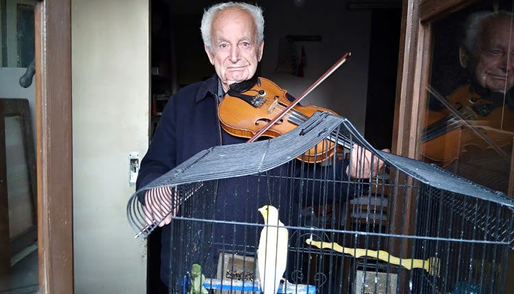 Κάθε μεσημέρι ο κ. Μπάμπης ανοίγει το παράθυρο και παίζει βιολί παρέα με το καναρίνι του