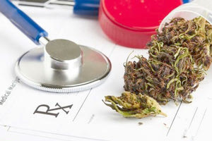 φαρμακευτική κάνναβη