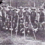 Δείτε όλα τα άρθρα από το χρήστη Μανόλης Σπανάκης