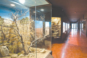 το Μουσείο Φυσικής Ιστορίας