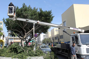 Υπηρεσία Πρασίνου - κλαδέματα