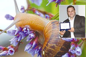 Κρητικά σαλιγκάρια στη βιομηχανία καλλυντικών