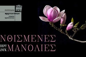 Η θεατρική ομάδα του Συλλόγου Αρχιτεκτόνων Νομού Ηρακλείου παρουσιάζει το έργο του Ρόμπερτ Χάρλινγκ «Ανθισμένες μανόλιες»