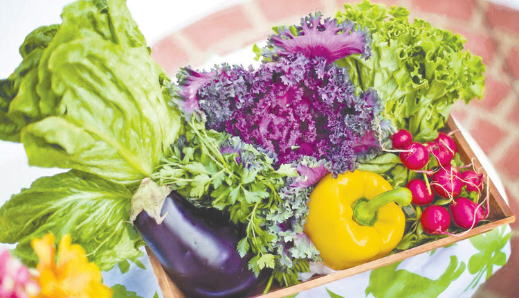 Υγιεινή διατροφή 