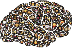 Εγκέφαλος και εθισμός