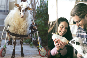 Προσκλητήριο για να σωθεί η... Γιαννούλα