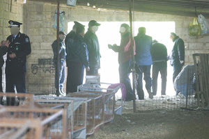 η δολοφονία του Μιχάλη Γαβαλά