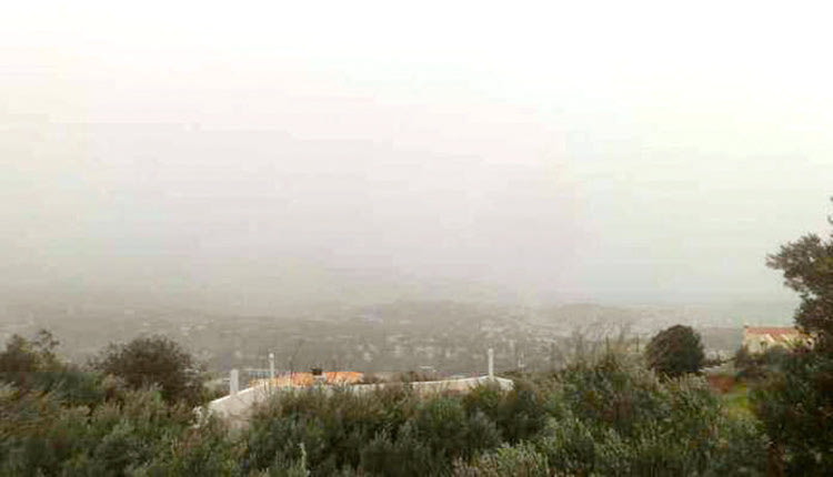 Σκόνη και ξηρασία, μεγάλο πλήγμα για τις καλλιέργειες