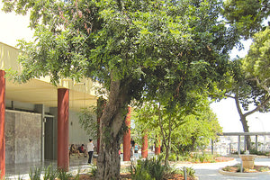 Αρχαιολογικό Μουσείο Ηρακλείου