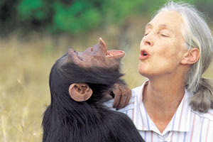 Το συγκλονιστικό ντοκιμαντέρ ‘’Jane’’ του National Geographic