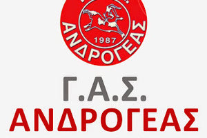 ΓΑΣ ΑΝΔΡΟΓΕΑΣ