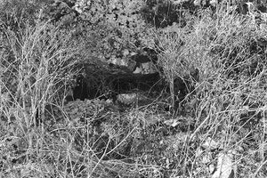 Ιστορικές Σελίδες: Ομάδι να ποθάνομε, μαζί να βγει η ψυχή μας κι αγκαλιασμένο να βρεθεί στον Άδη το κορμί μας