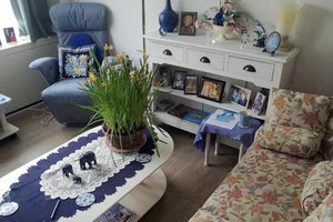 ΤΟ ΟΛΛΑΝΔΙΚΟ ΜΟΝΤΕΛΟ ΓΙΑ ΤΟΥΣ ΞΕΝΩΝΕΣ ΗΛΙΚΙΩΜΕΝΩΝ: Πάνε στο γηροκομείο με το... σπίτι τους