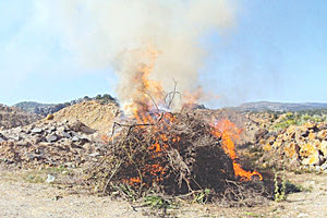 ΣΤΗΝ ΠΥΡΑ ΤΑ ΝΑΡΚΩΤΙΚΑ