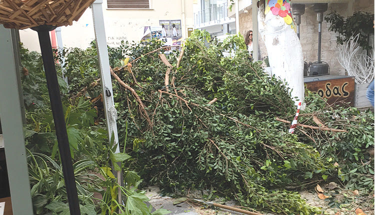 Το κλάδεμα φώτισε την πλατεία της οδού Κοραή