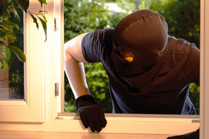 η συμμορία των νεαρών διαρρηκτών