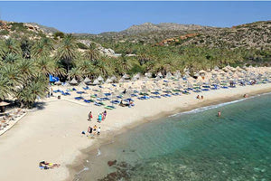 στο φοινικόδασος του Βάι