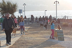 Πάρκο σκύλων στον Καράβολα