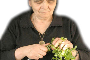 ΓΙΑΓΙΑ ΚΑΘΑΡΙΖΕΙ ΧΟΡΤΑ