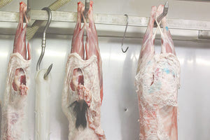 Πλεόνασμα αρνιών, έλλειμμα χοχλιών