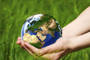 Ίδρυση Παρατηρητηρίου Περιβάλλοντος