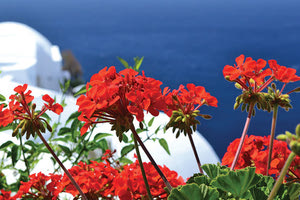 Χανιά και Ρέθυμνο στις προτιμήσεις των Ελλήνων