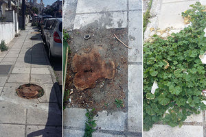 Κόβουν μουριές, αλλά τι φυτεύουν;