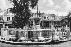 ΦΩΤΟ ΗΜΕΡΑΣ: Τα Λιοντάρια με κάγκελο