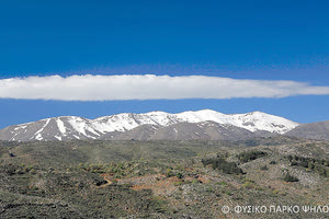 Ο Ψηλορείτης δεν είναι ένα βουνό, είναι μία ταυτότητα!