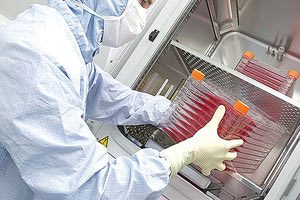 βλαστοκύτταρα