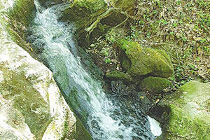 στο  Κουναβιανό φαράγγι