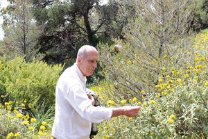 Πέθανε ο αρχαιολόγος Αντώνης Ζώης