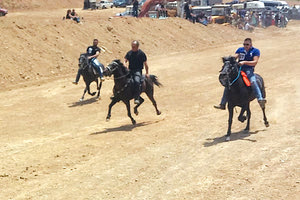 ΙΠΠΙΚΟΙ ΑΓΩΝΕΣ