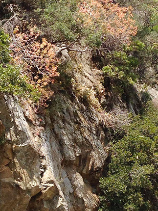  ο 62χρονος αναισθησιολόγος Γιώργος Καραντινος βρέθηκε στον γκρεμό, βάθους περίπου 8 μέτρων.