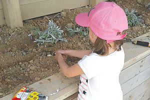 Έκαναν το Ευρωπαϊκό σχολείο... κούκλα