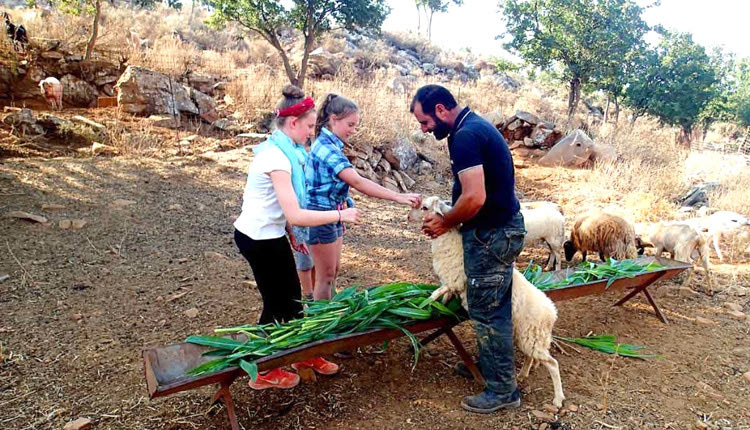 Η αυθεντική Κρήτη τραβάει σαν μαγνήτης τους τουρίστες 