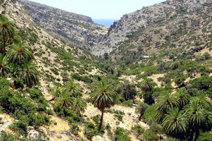 Στο φαράγγι του Μάρτσαλου