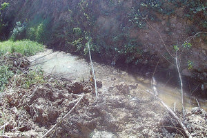 Η λίμνη νερού που έχει σχηματιστεί προσελκύει δεκάδες έντομα και τρωκτικά.