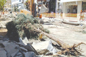 αντιδράσεις πυροδότησε η πτώση ενός δέντρου στη διάρκεια των εργασιών ανάπλασης της Δικαιοσύνης.