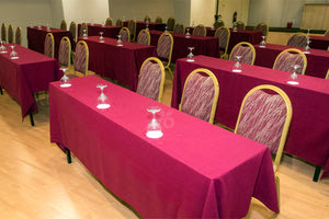 Συνεδριακό στο Ξενοδοχείο Capsis Astoria