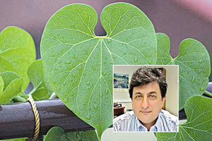 Οι επιστήμονες του Πανεπιστημίου Κρήτης (Θανάσης Κουτσολέλος) δημιούργησαν την ανόργανη μορφή της χλωροφύλλης.