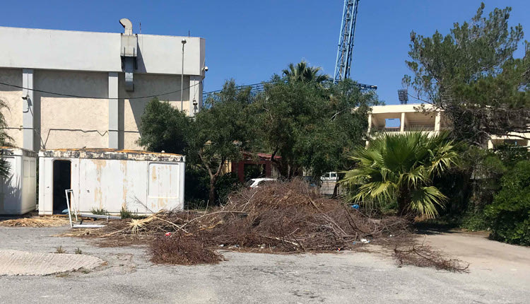 Η διοίκηση δεν μπορεί να απομακρύνει εδώ και μήνες τα ξερά κλαδιά και να καθαρίσει τους χώρους του κολυμβητηρίου